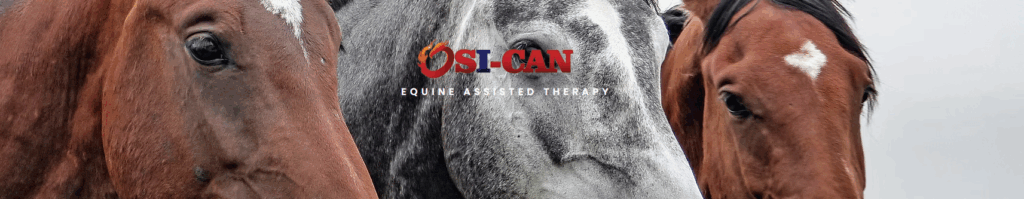 screenshot 2025 11 19 143120