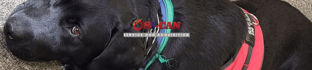 screenshot 2025 11 19 143740